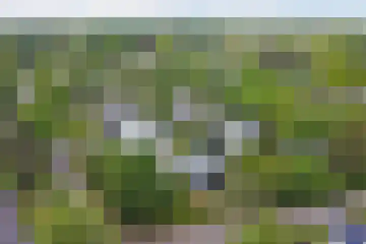 Oranjelaan 30 Alkmaar thumbnail 54