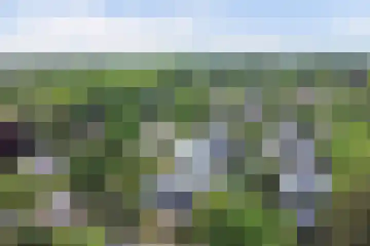 Oranjelaan 30 Alkmaar thumbnail 55