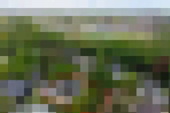 Oranjelaan 30 Alkmaar thumbnail 56