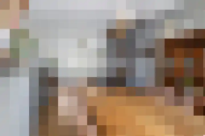 Oranjelaan 30 Vlaardingen thumbnail 14