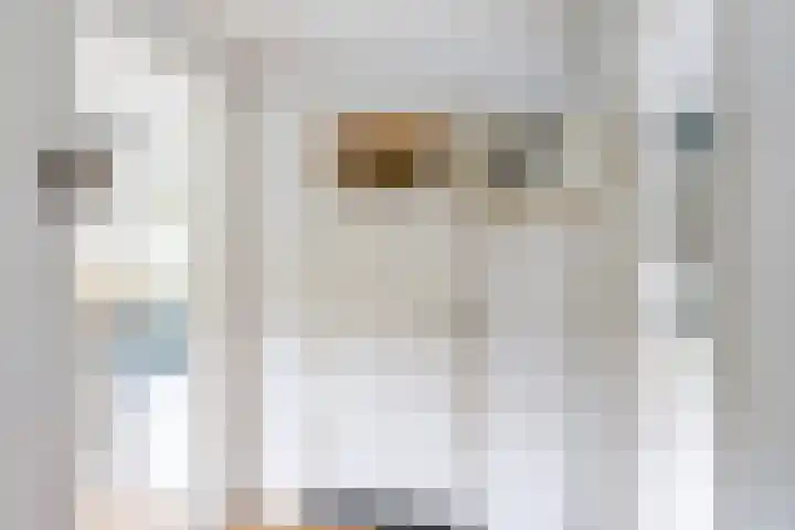 Oranjelaan 30 Vlaardingen thumbnail 22