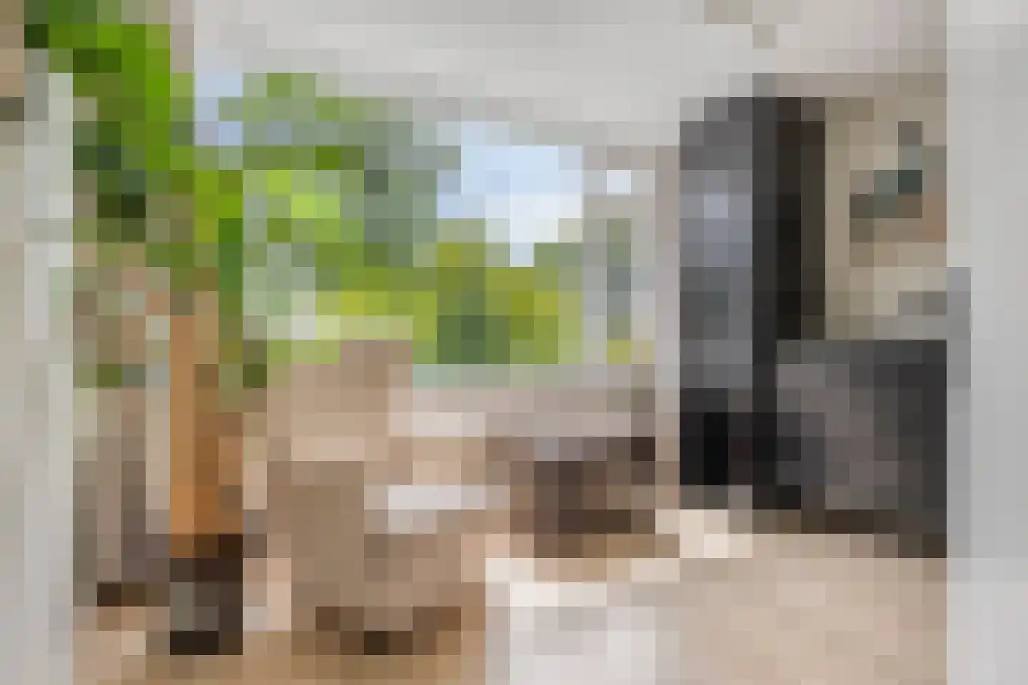 Oranjelaan 31 Castricum thumbnail 15