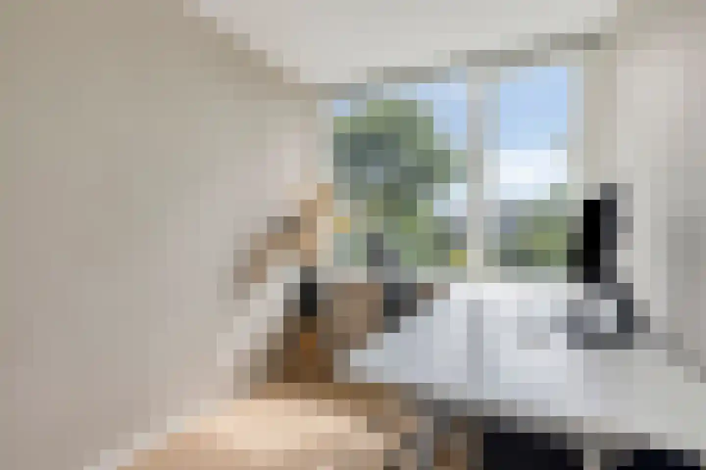 Oranjelaan 31 Castricum thumbnail 21
