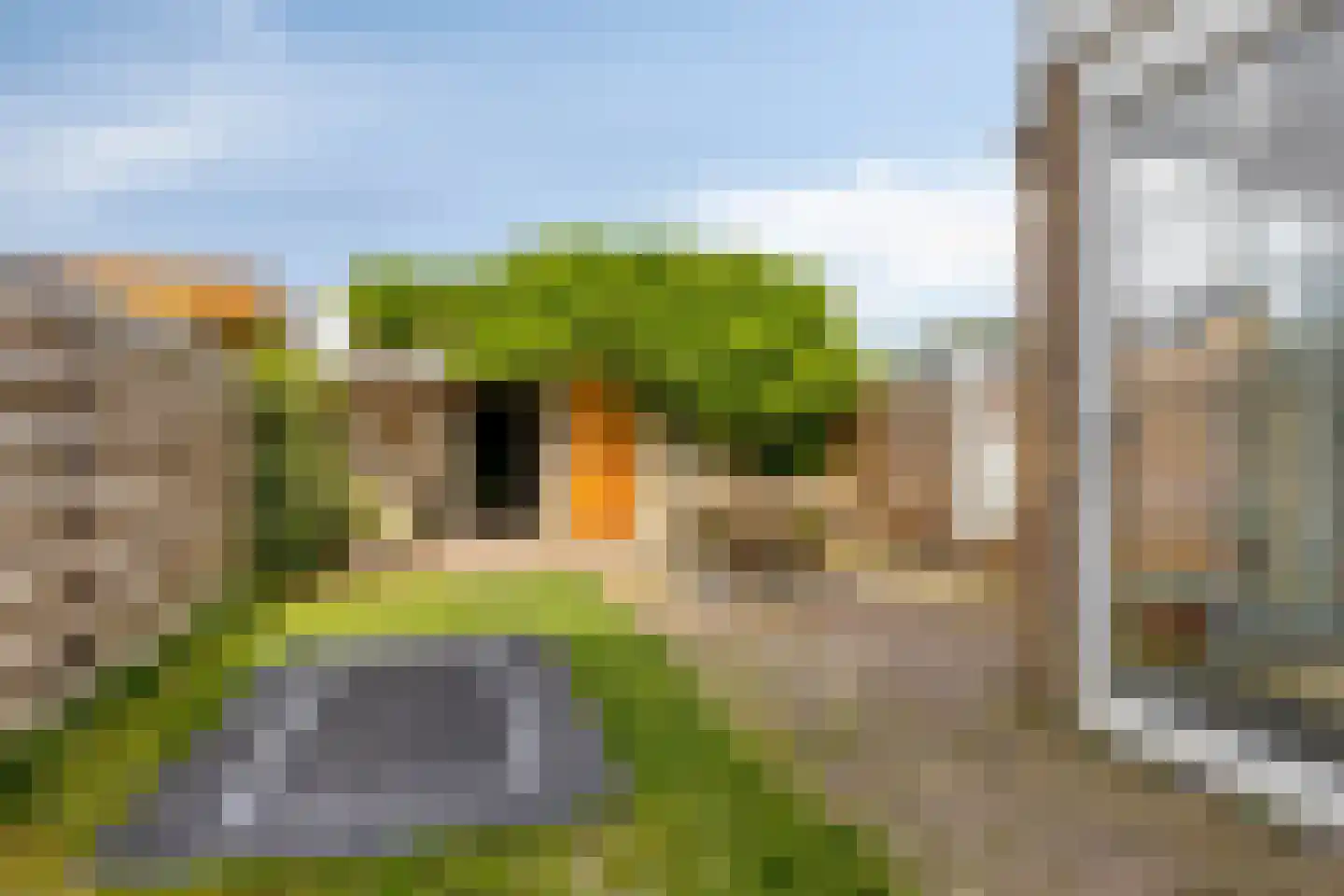Oranjelaan 31 Castricum thumbnail 29