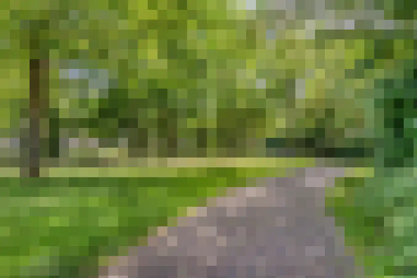Oranjelaan 31 Castricum thumbnail 39