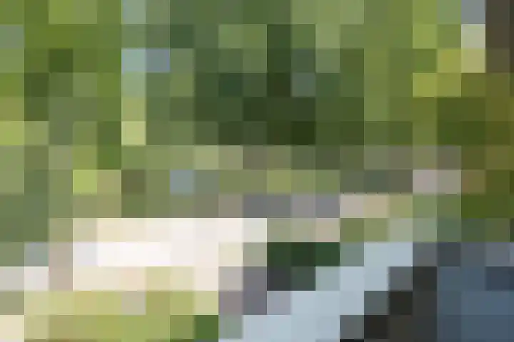 Oranjelaan 31 Driebergen-Rijsenburg thumbnail 24
