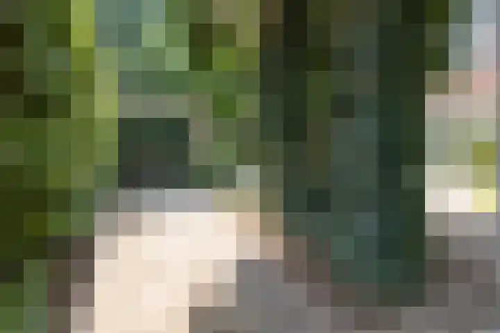 Oranjelaan 31 Driebergen-Rijsenburg thumbnail 38