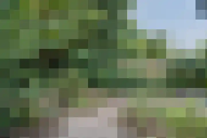 Oranjelaan 31 Driebergen-Rijsenburg thumbnail 41