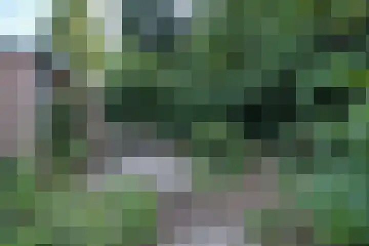 Oranjelaan 31 Driebergen-Rijsenburg thumbnail 43