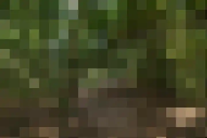 Oranjelaan 31 Driebergen-Rijsenburg thumbnail 44
