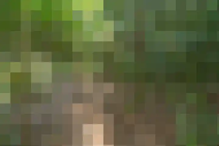 Oranjelaan 31 Driebergen-Rijsenburg thumbnail 45