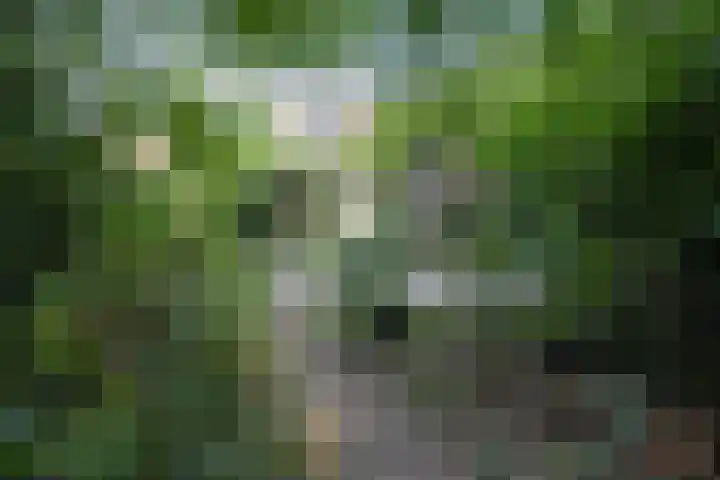 Oranjelaan 31 Driebergen-Rijsenburg thumbnail 46