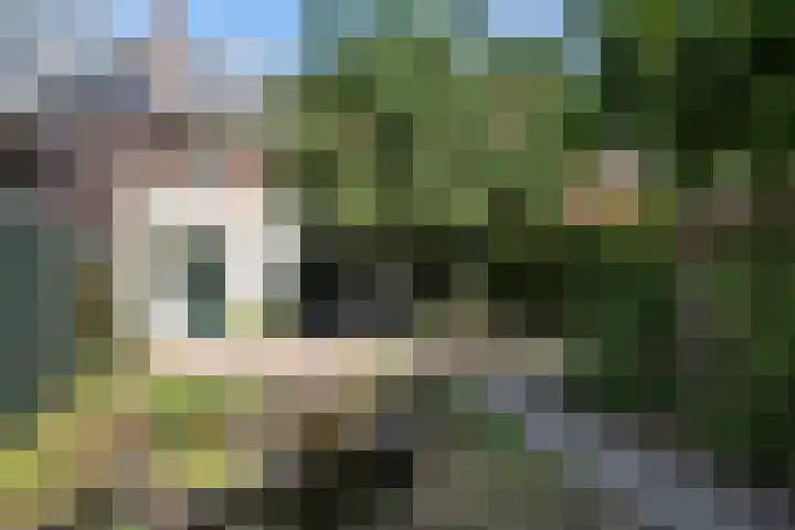 Oranjelaan 31 Driebergen-Rijsenburg thumbnail 48