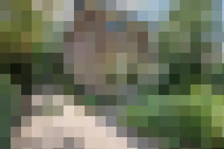Oranjelaan 31 Driebergen-Rijsenburg thumbnail 50