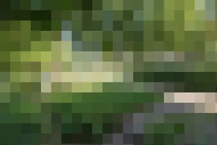 Oranjelaan 31 Driebergen-Rijsenburg thumbnail 52