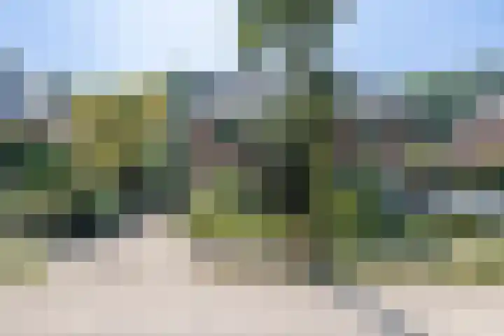 Oranjelaan 31 Driebergen-Rijsenburg thumbnail 53
