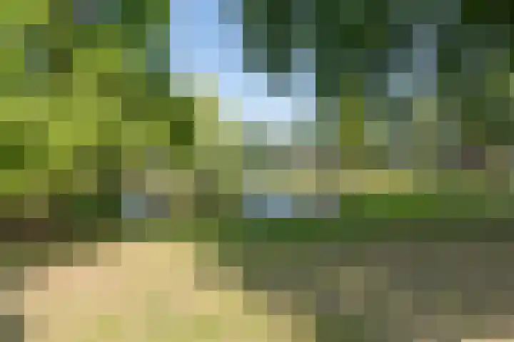 Oranjelaan 31 Driebergen-Rijsenburg thumbnail 56