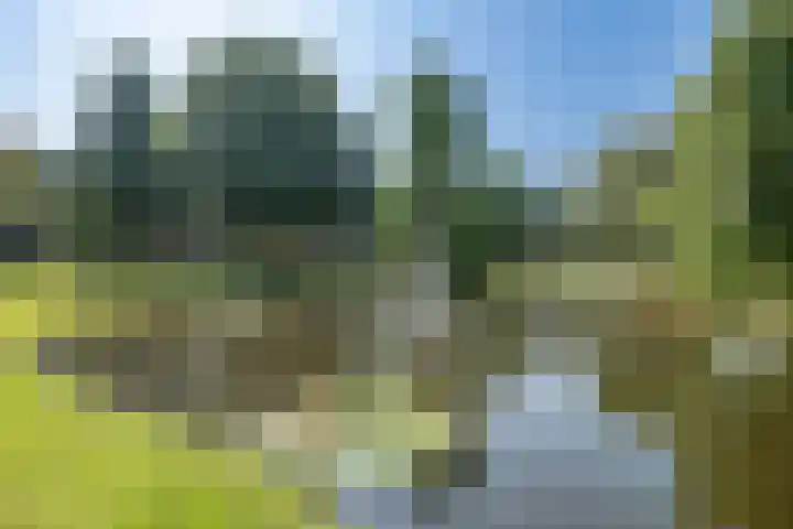 Oranjelaan 31 Driebergen-Rijsenburg thumbnail 57