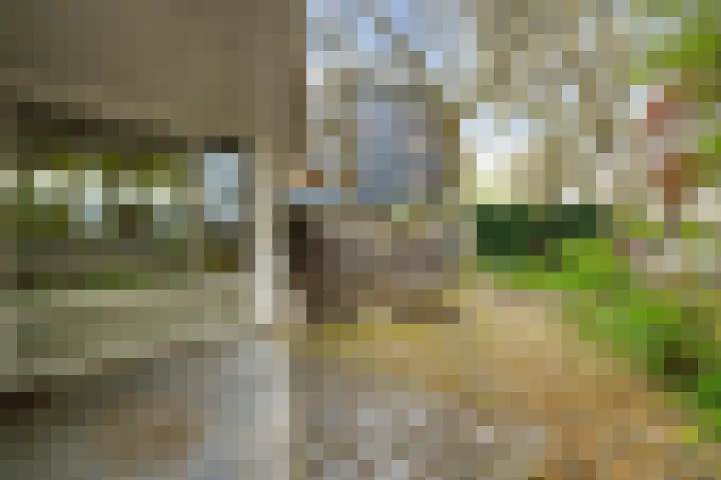 Oranjelaan 32 Valkenburg thumbnail 19