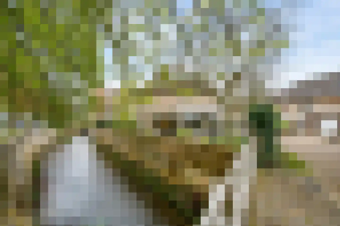Oranjelaan 32 Valkenburg thumbnail 25
