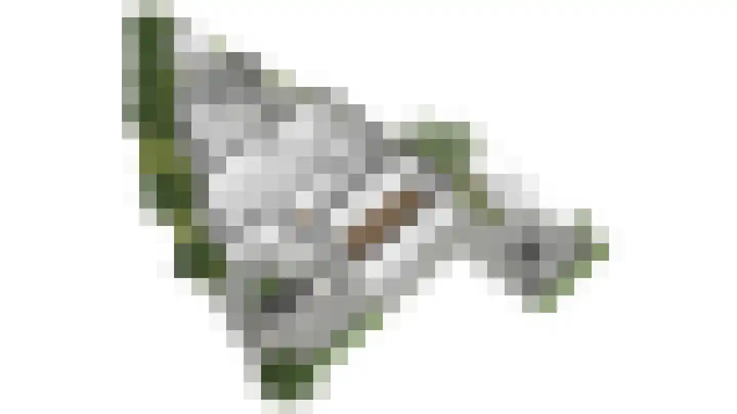 Oranjelaan 32 Valkenburg thumbnail 27