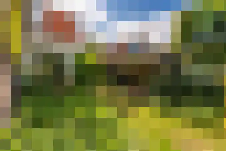 Oranjelaan 34 Driebergen-Rijsenburg thumbnail 24
