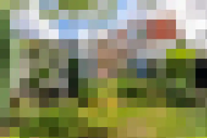 Oranjelaan 34 Driebergen-Rijsenburg thumbnail 25