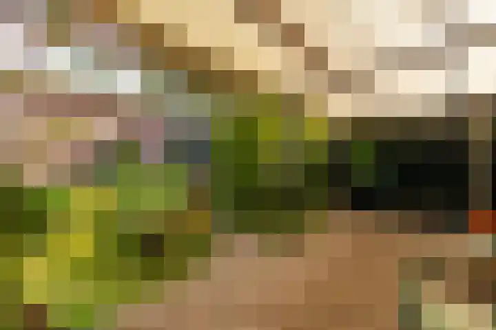 Oranjelaan 34 Driebergen-Rijsenburg thumbnail 30