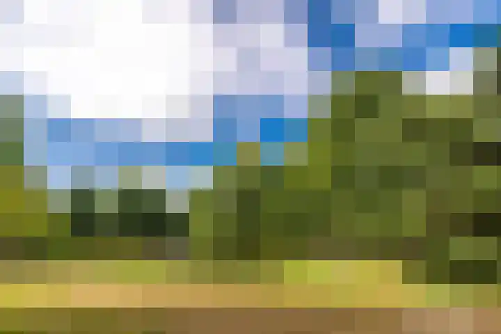 Oranjelaan 34 Driebergen-Rijsenburg thumbnail 31