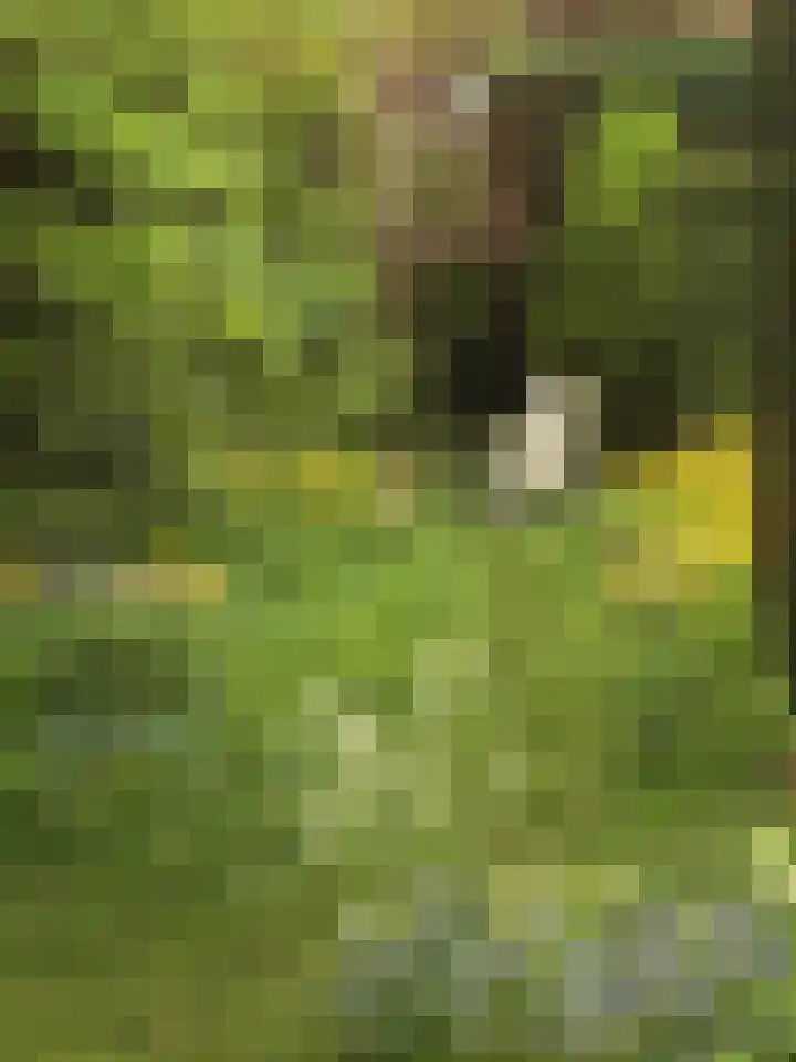Oranjelaan 34 Driebergen-Rijsenburg thumbnail 32