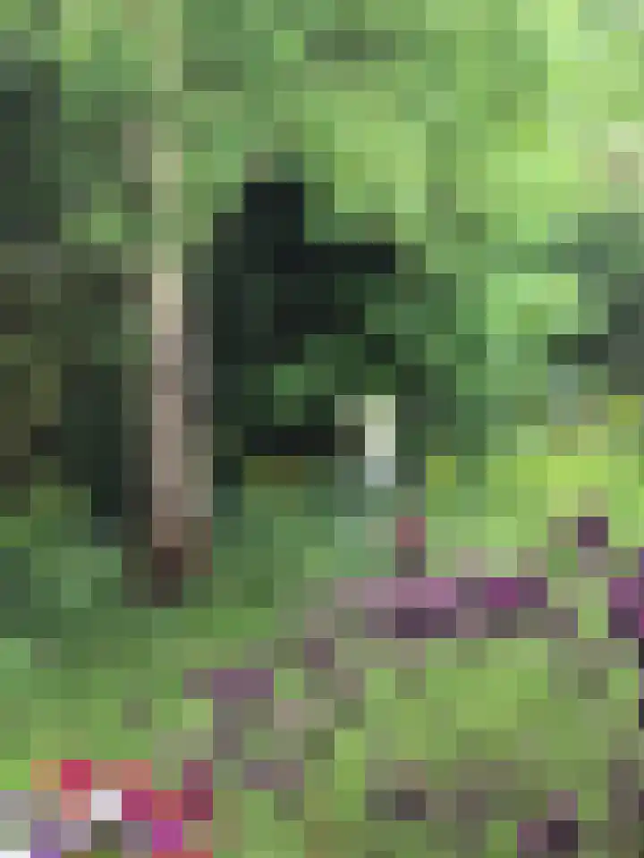 Oranjelaan 34 Driebergen-Rijsenburg thumbnail 34