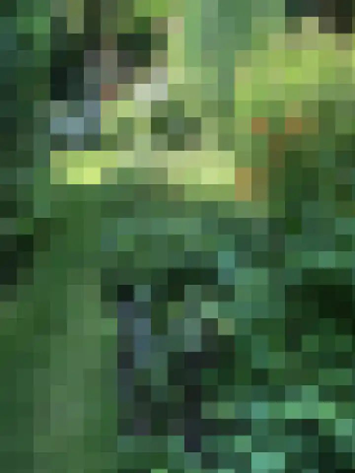 Oranjelaan 34 Driebergen-Rijsenburg thumbnail 35