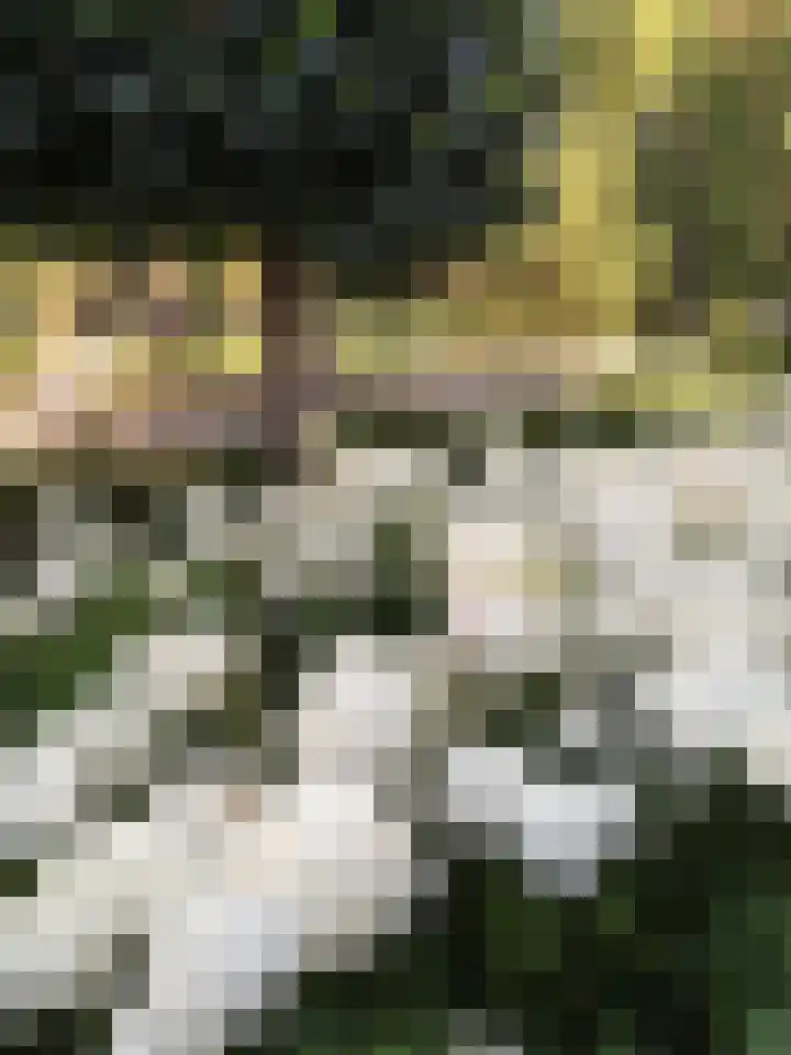 Oranjelaan 34 Driebergen-Rijsenburg thumbnail 4