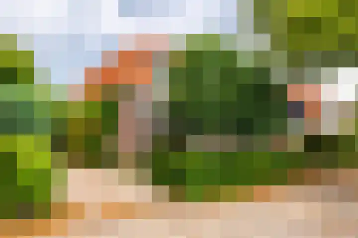 Oranjelaan 34 Driebergen-Rijsenburg thumbnail 42
