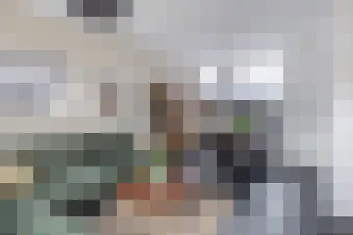 Oranjelaan 34 Stad aan 't Haringvliet thumbnail 10