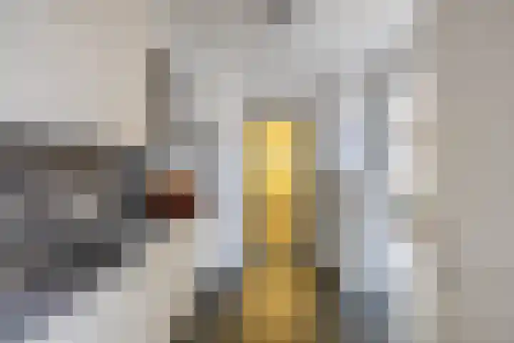 Oranjelaan 34 Stad aan 't Haringvliet thumbnail 13