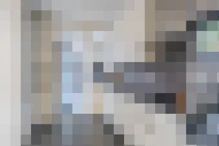 Oranjelaan 34 Stad aan 't Haringvliet thumbnail 14