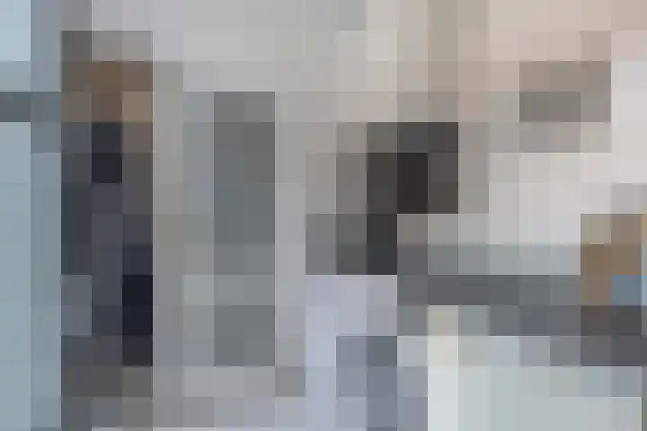 Oranjelaan 34 Stad aan 't Haringvliet thumbnail 15