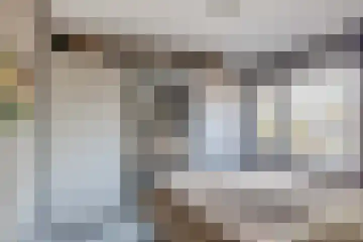 Oranjelaan 34 Stad aan 't Haringvliet thumbnail 18