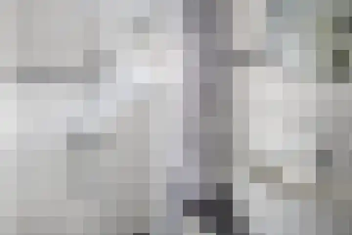 Oranjelaan 34 Stad aan 't Haringvliet thumbnail 19