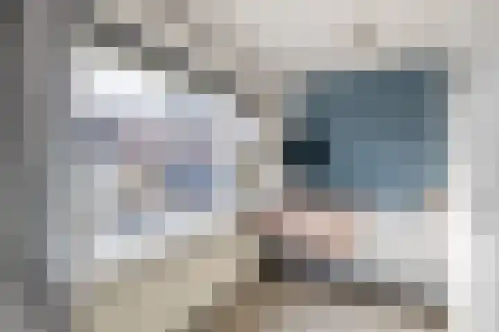 Oranjelaan 34 Stad aan 't Haringvliet thumbnail 21