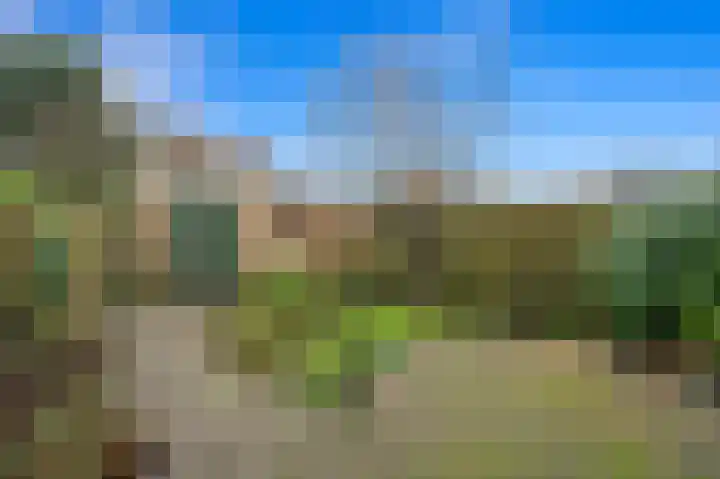 Oranjelaan 35 Den Hoorn thumbnail 21