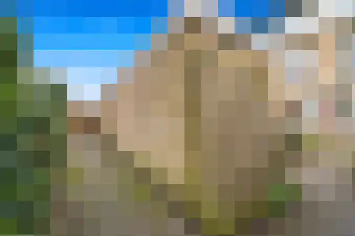 Oranjelaan 35 Den Hoorn thumbnail 50