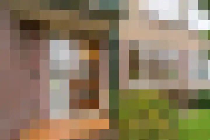 Oranjelaan 35 Den Hoorn thumbnail 6