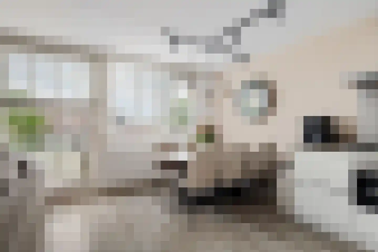 Oranjelaan 37 Rijnsburg thumbnail 20