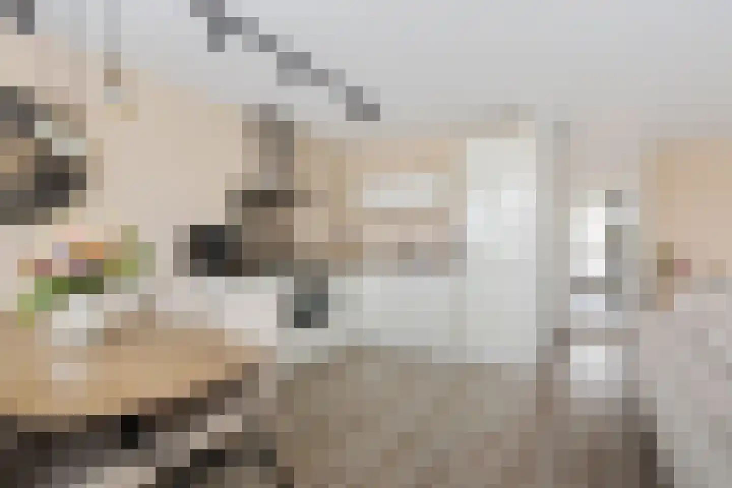Oranjelaan 37 Rijnsburg thumbnail 22