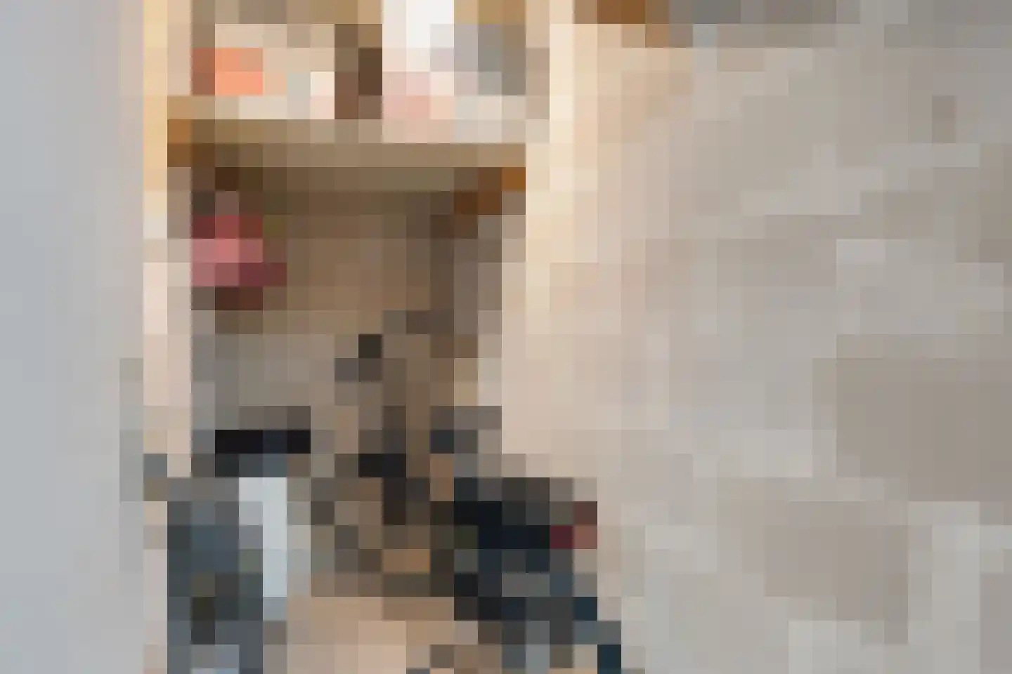 Oranjelaan 37 Rijnsburg thumbnail 41
