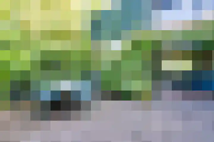 Oranjelaan 38 Castricum thumbnail 16