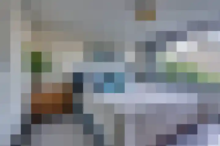 Oranjelaan 38 Castricum thumbnail 18