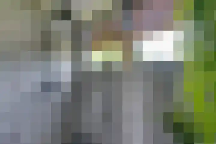 Oranjelaan 38 Castricum thumbnail 24